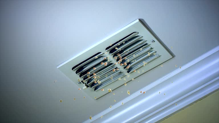 Best Ventilation Cleaning Services  in Patrick Springs, VA