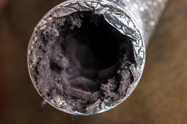 Best Air Duct Sanitizing Services  in Patrick Springs, VA